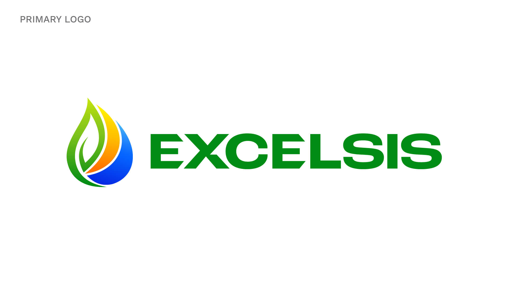 Corporate Logo Design for Excelsis by Vowels Dubai